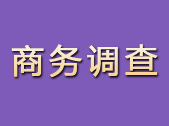 庄河商务调查